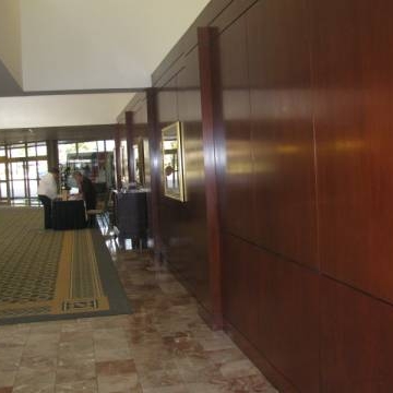 IMG 0884